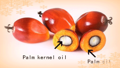 棕榈油和棕榈仁油