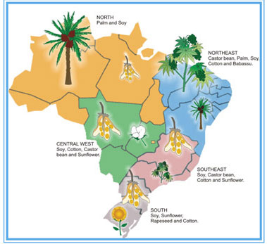 巴西蓖麻豆种植区