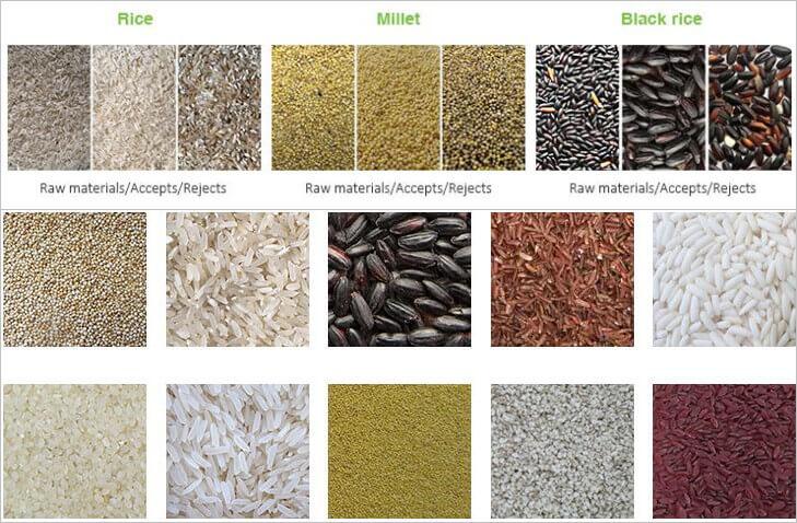 自动稻谷分选机适用于大米、谷物的分选